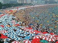 Нажмите на изображение для увеличения
Название: chinese-beach_3.jpg
Просмотров: 631
Размер:	123.4 Кб
ID:	23122