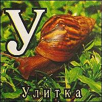 Нажмите на изображение для увеличения
Название: kitajjskie_kubiki_polnaja_versija_72_kubika_13.jpg
Просмотров: 356
Размер:	30.8 Кб
ID:	27534