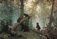 Нажмите на изображение для увеличения
Название: Иван ШИШКИН (1832-1898). Утро в сосновом лесу.jpg
Просмотров: 1126
Размер:	748.6 Кб
ID:	44225