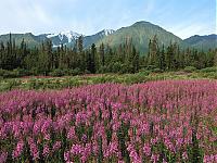 Нажмите на изображение для увеличения
Название: Kluane National Park.jpg
Просмотров: 382
Размер:	625.1 Кб
ID:	4663