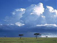 Нажмите на изображение для увеличения
Название: Storm Over the Savannah.jpg
Просмотров: 394
Размер:	335.7 Кб
ID:	4683