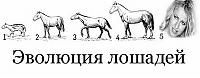 Нажмите на изображение для увеличения
Название: 12112_0.jpg
Просмотров: 344
Размер:	24.0 Кб
ID:	10117