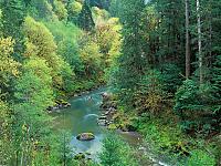 Нажмите на изображение для увеличения
Название: Coquille River in Spring.jpg
Просмотров: 411
Размер:	803.2 Кб
ID:	4650