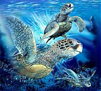 Нажмите на изображение для увеличения
Название: 9 морских черепах.jpg
Просмотров: 660
Размер:	43.8 Кб
ID:	15323