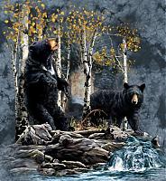 Нажмите на изображение для увеличения
Название: 9 черных медведей.jpg
Просмотров: 567
Размер:	72.8 Кб
ID:	15328