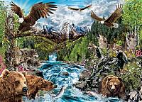 Нажмите на изображение для увеличения
Название: 12 орлов, 14 волков, и 10 медведей.jpg
Просмотров: 578
Размер:	66.4 Кб
ID:	15345