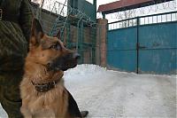 Нажмите на изображение для увеличения
Название: b6279036ae8ac8707d511c8297457c61_full.jpg
Просмотров: 6516
Размер:	111.4 Кб
ID:	15772
