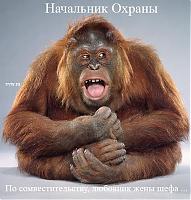 Нажмите на изображение для увеличения
Название: 9e85050ac598da48ba05de403f4edcba_full.jpg
Просмотров: 796
Размер:	76.0 Кб
ID:	1944