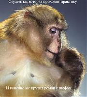 Нажмите на изображение для увеличения
Название: d353f964f1d77c8117423f4f14aced87_full.jpg
Просмотров: 839
Размер:	80.2 Кб
ID:	1945