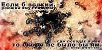 Нажмите на изображение для увеличения
Название: 20080305021552728_22.jpg
Просмотров: 338
Размер:	48.3 Кб
ID:	25128