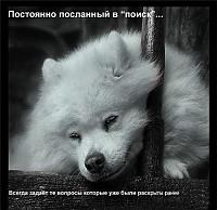 Нажмите на изображение для увеличения
Название: 008_forum_v_licah.jpg
Просмотров: 366
Размер:	56.9 Кб
ID:	29140