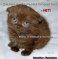 Нажмите на изображение для увеличения
Название: 5758175.jpg
Просмотров: 380
Размер:	51.4 Кб
ID:	47258