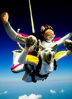 Нажмите на изображение для увеличения
Название: catsjump.jpg
Просмотров: 358
Размер:	67.8 Кб
ID:	47748