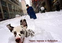 Нажмите на изображение для увеличения
Название: x_03bdebf3.jpg
Просмотров: 546
Размер:	53.5 Кб
ID:	52411