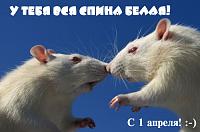 Нажмите на изображение для увеличения
Название: 5.jpg
Просмотров: 3747
Размер:	32.2 Кб
ID:	52930