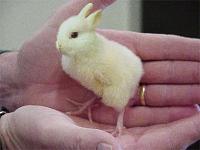 Нажмите на изображение для увеличения
Название: Happy_Easter.jpg
Просмотров: 538
Размер:	26.0 Кб
ID:	52976