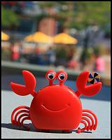 Нажмите на изображение для увеличения
Название: crab.jpg
Просмотров: 310
Размер:	65.5 Кб
ID:	54800