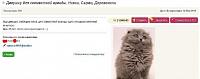 Нажмите на изображение для увеличения
Название: 2.jpg
Просмотров: 1153
Размер:	16.9 Кб
ID:	56441