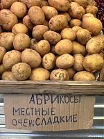 Нажмите на изображение для увеличения
Название: абрикосы.jpg
Просмотров: 923
Размер:	54.8 Кб
ID:	584