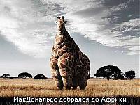 Нажмите на изображение для увеличения
Название: a6a1379e3da275e3daaea21fc4974151_full.jpg
Просмотров: 880
Размер:	26.1 Кб
ID:	6066