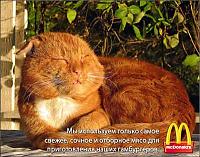 Нажмите на изображение для увеличения
Название: 28aca3745d8320cf967f233b6aba44fa_full.jpg
Просмотров: 1072
Размер:	25.9 Кб
ID:	6068