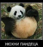 Нажмите на изображение для увеличения
Название: nuxxx.jpg
Просмотров: 554
Размер:	36.5 Кб
ID:	61707