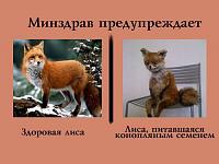Нажмите на изображение для увеличения
Название: 3.jpg
Просмотров: 1260
Размер:	41.5 Кб
ID:	64478