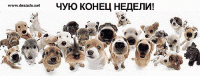 Нажмите на изображение для увеличения
Название: patn.gif
Просмотров: 939
Размер:	51.3 Кб
ID:	887
