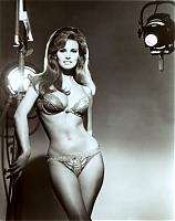 Нажмите на изображение для увеличения
Название: Raquel Welch.jpg
Просмотров: 347
Размер:	33.1 Кб
ID:	14092