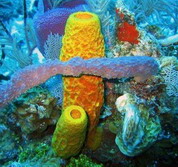 Название: 13.jpg
Просмотров: 5149
Размер: 17.9 Кб