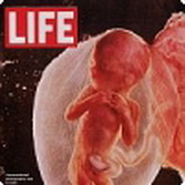 Название: 22.jpg
Просмотров: 5021
Размер: 10.5 Кб