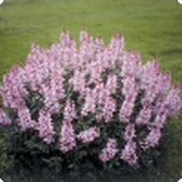 Название: 26.jpg
Просмотров: 5125
Размер: 11.4 Кб