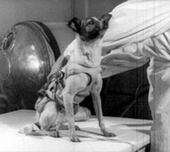 Название: 4.jpg
Просмотров: 5271
Размер: 11.3 Кб