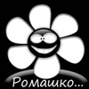 Аватар для roma_kr1981